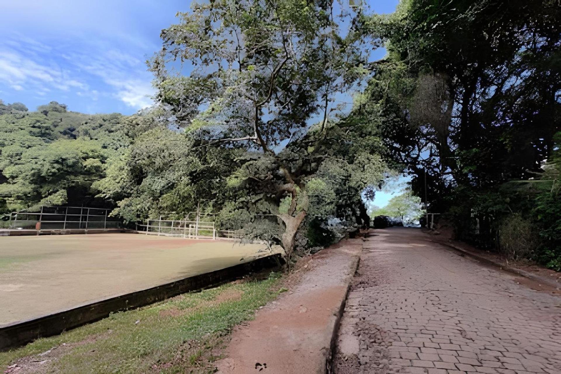 Casa No Vidigal Com Vista Incrivel O Mar Hébergement de vacances *